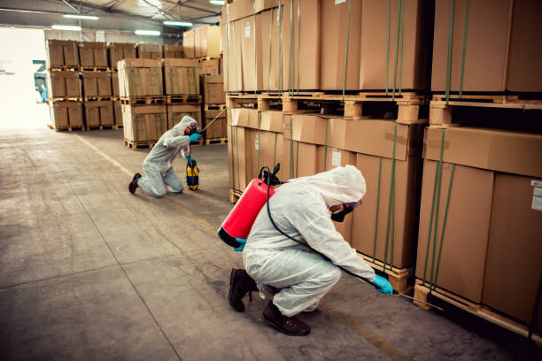 Best Termite Control Services  in Fergus Falls, MN