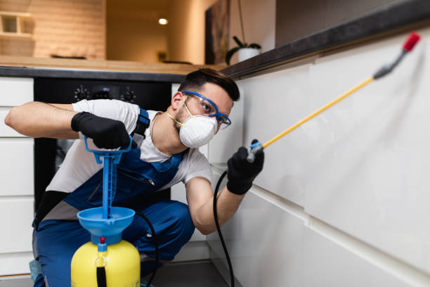 Wasp Removal Services in Fergus Falls, MN