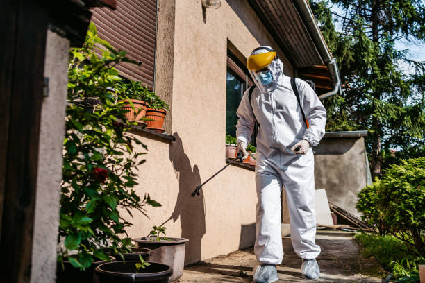 Best Best Pest Control Companies  in Fergus Falls, MN