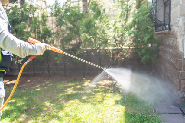 Trusted Fergus Falls, MN Pest Control Experts