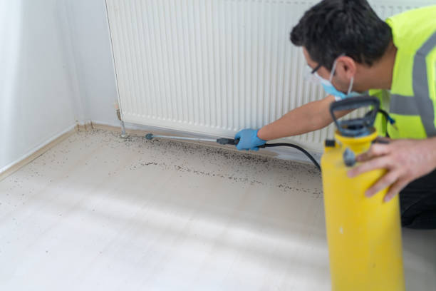 Best Pest Prevention Services  in Fergus Falls, MN
