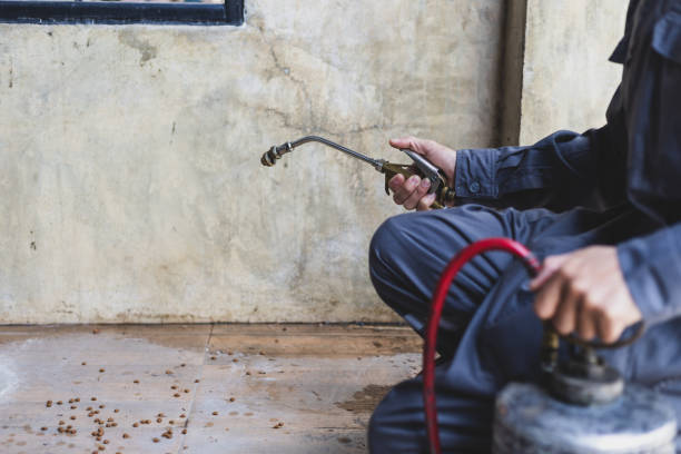 Best Pest Control Treatment  in Fergus Falls, MN